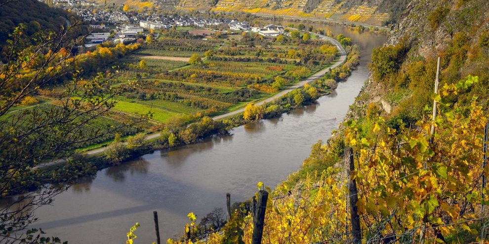 vineyards 4666055 1280