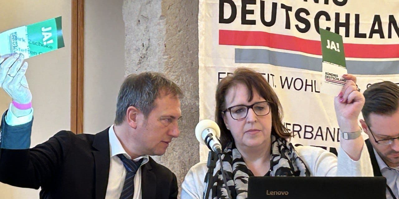 whatsapp image 2024 03 03 at 11.45.54