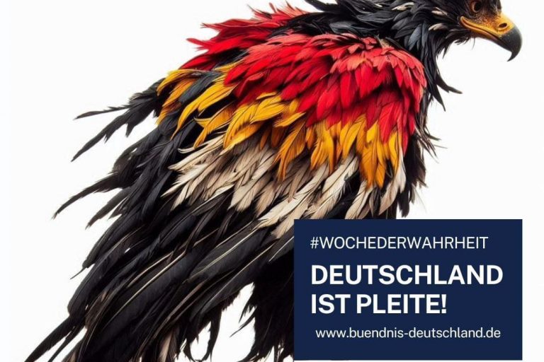 whatsapp image 2024 08 19 at 10.35.27