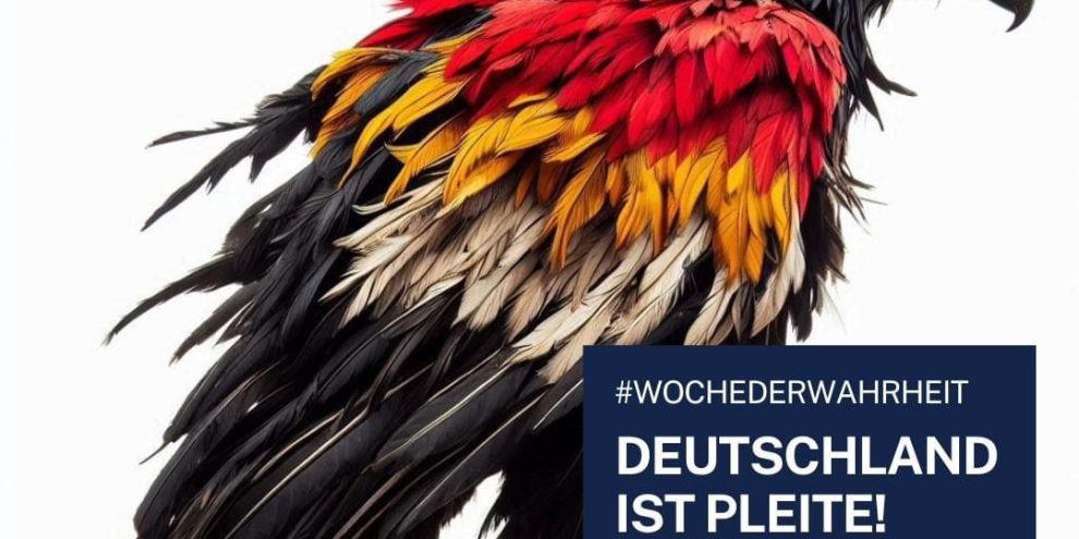 whatsapp image 2024 08 19 at 10.35.27