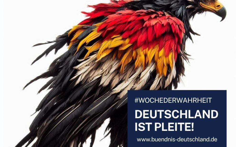 whatsapp image 2024 08 19 at 10.35.27