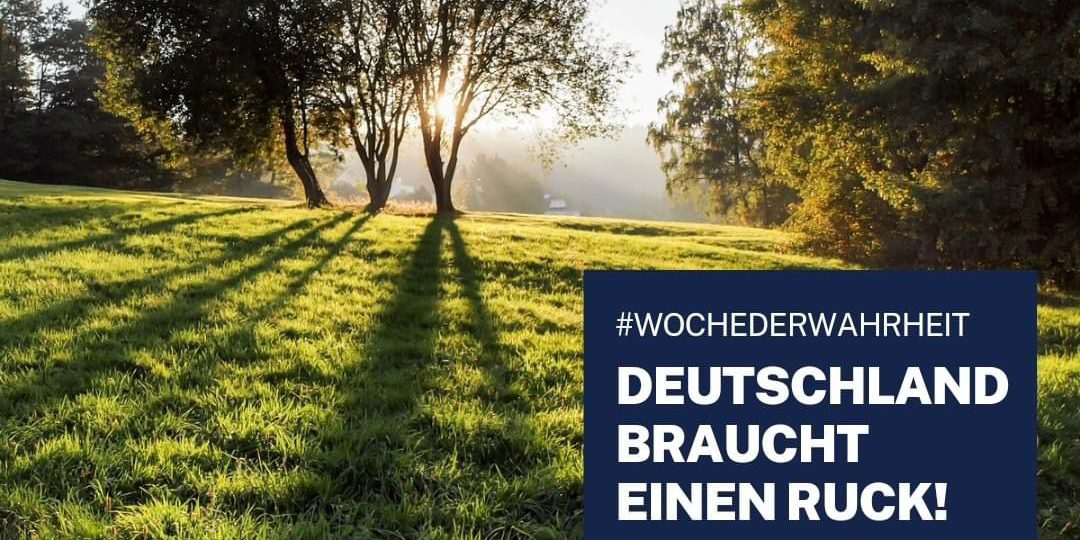 whatsapp image 2024 08 22 at 11.05.36