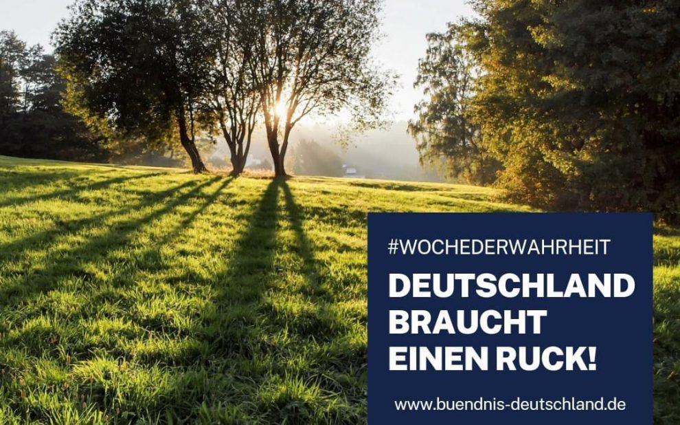 whatsapp image 2024 08 22 at 11.05.36