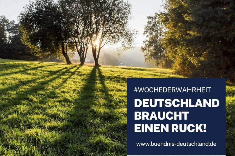 whatsapp image 2024 08 22 at 11.05.36