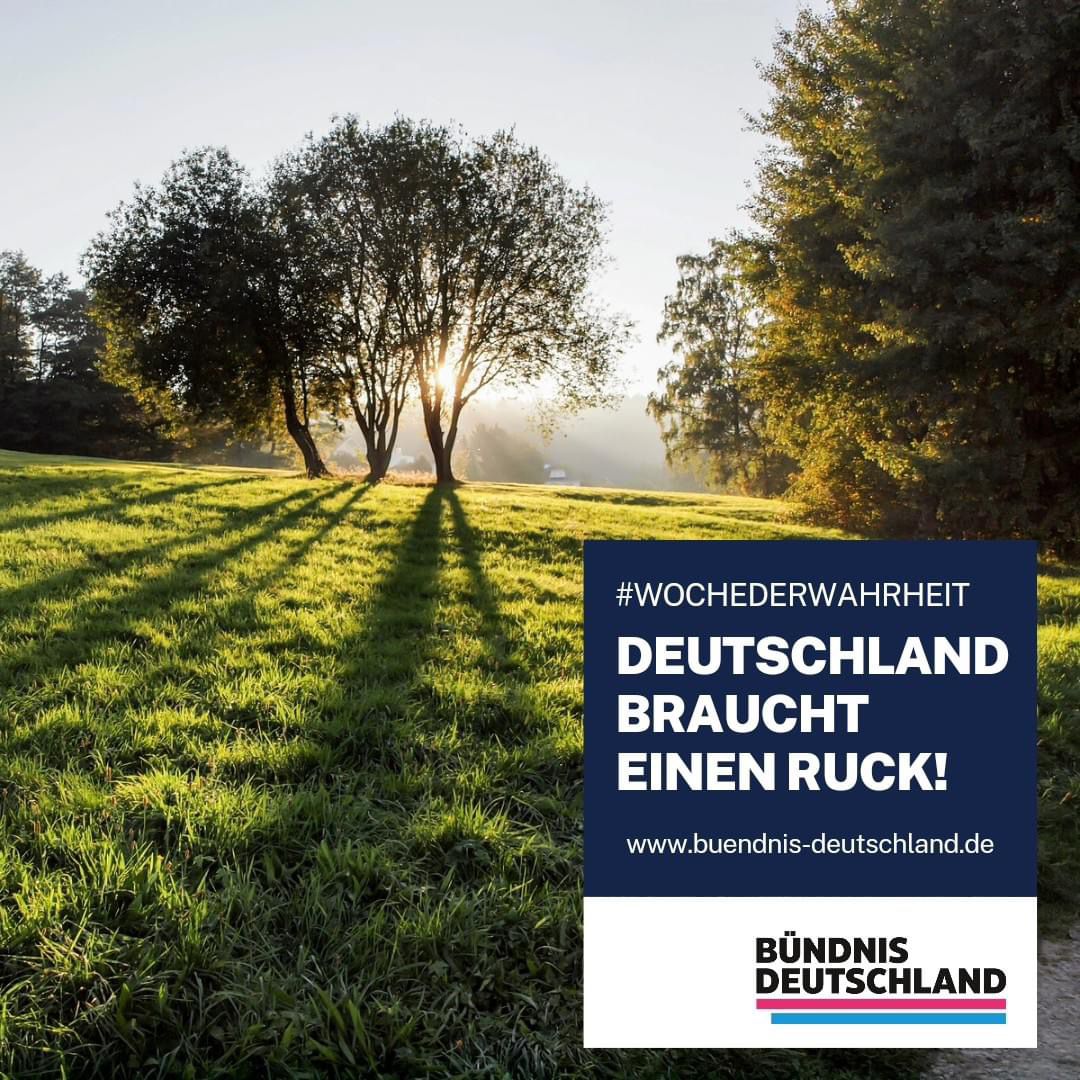 whatsapp image 2024 08 22 at 11.05.36