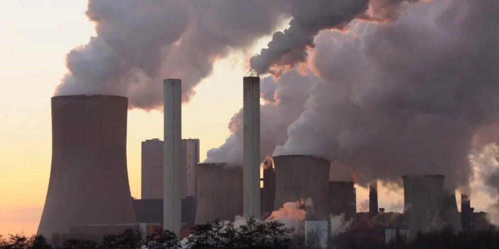 whatsapp image 2024 11 12 at 16.56.31