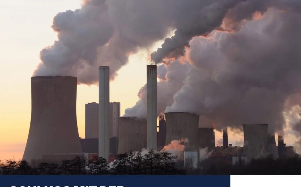 whatsapp image 2024 11 12 at 16.56.31