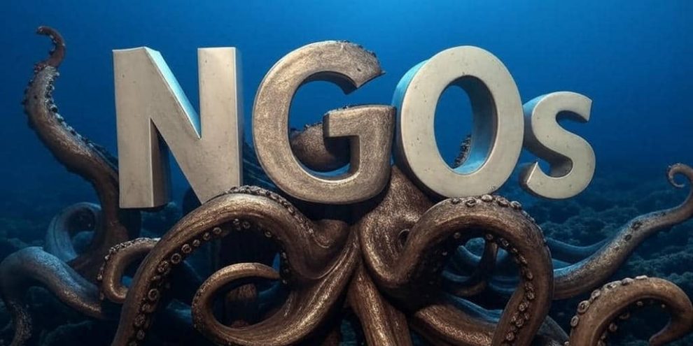 NGOs im Koalitionsvertrag