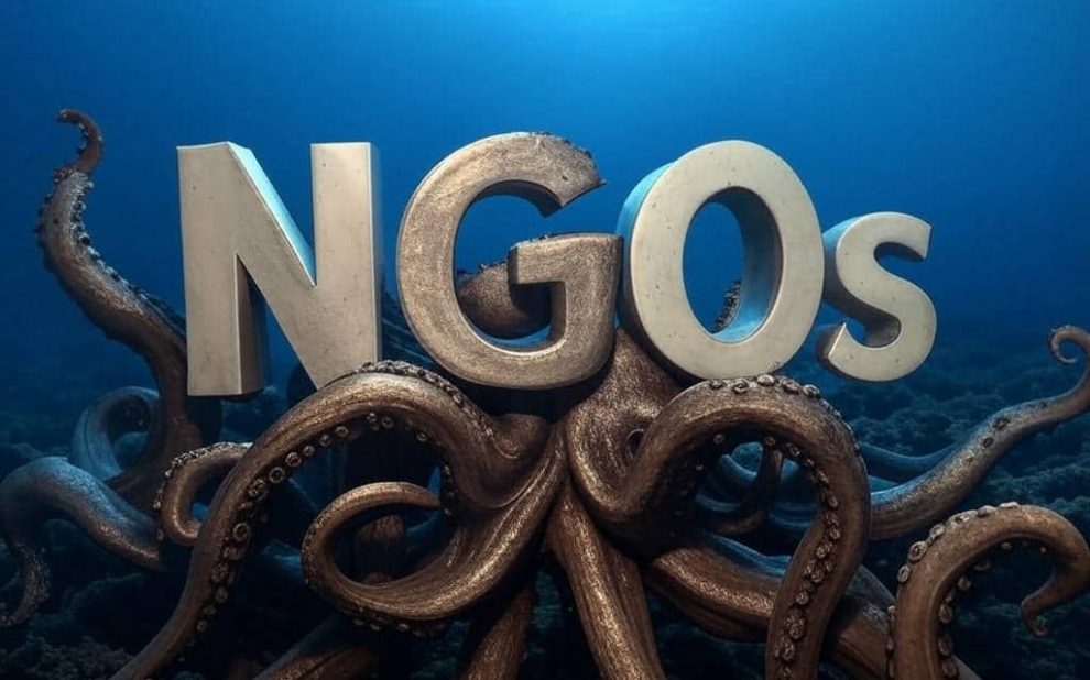 NGOs im Koalitionsvertrag